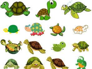 国产动漫视频小乌龟