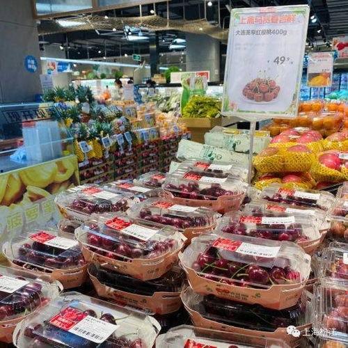 国产樱桃陈列视频大全集,尽享视觉盛宴，品味鲜美樱桃时光