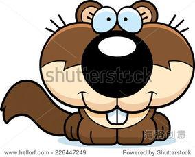 国产动物的动画视频播放,萌动时光，探寻自然之美