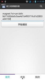 国产高清小视频磁力,磁力链接下的视觉盛宴