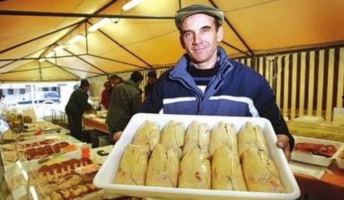 国产鹅肝养殖过程视频教程,从鹅苗到成品鹅肝的蜕变之旅