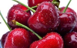 国产大樱桃套袋视频